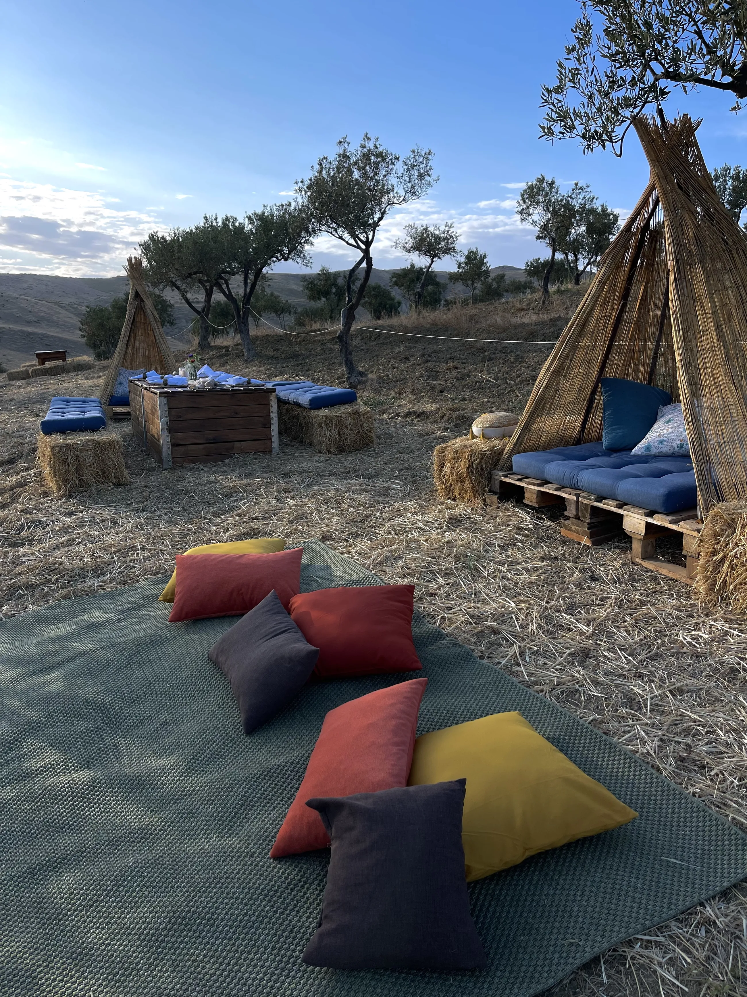 Beneath the olive trees
